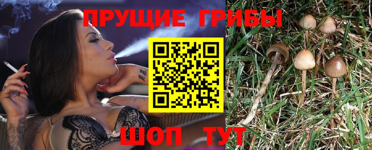 Псилоцибиновые грибы MAGIC MUSHROOMS Удомля