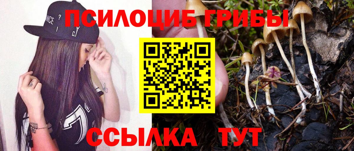 Псилоцибиновые грибы мухоморы  Вход с VPN  Удомля 